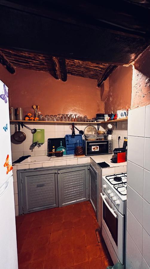 Riad Msholidays Bassin Privatise Marrakech Marrakesh Bagian luar foto