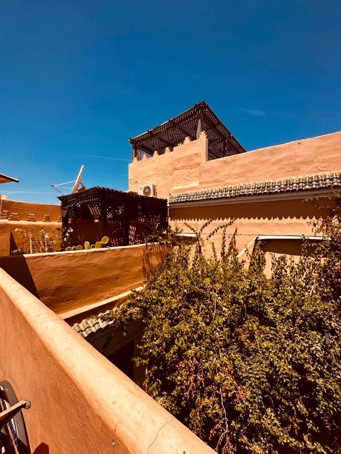 Riad Msholidays Bassin Privatise Marrakech Marrakesh Bagian luar foto